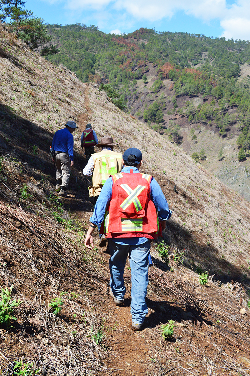 Tireo exploration site